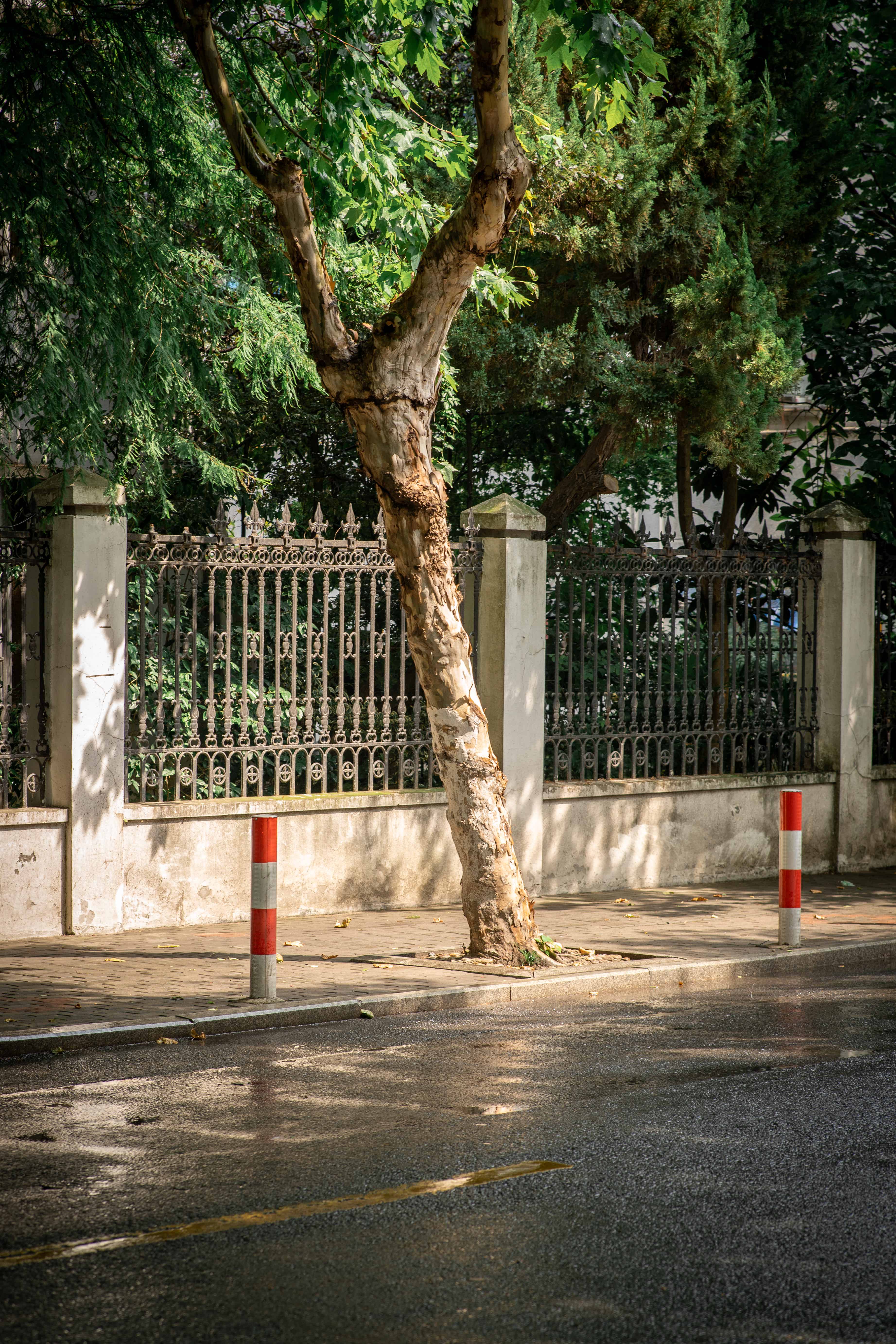 雨后初晴