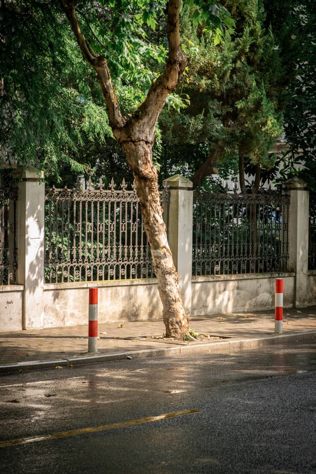 雨后初晴